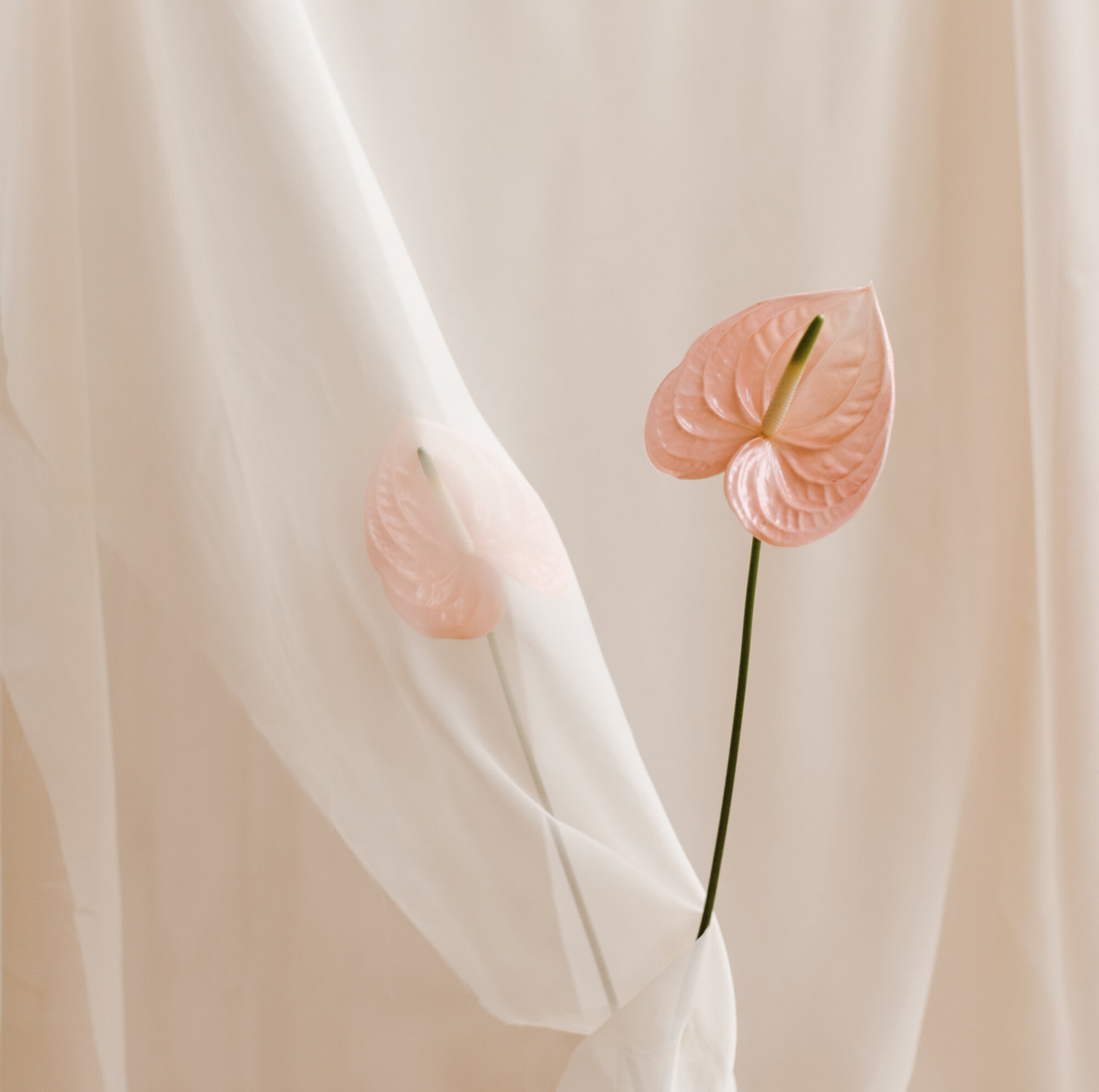 toxin free fertility